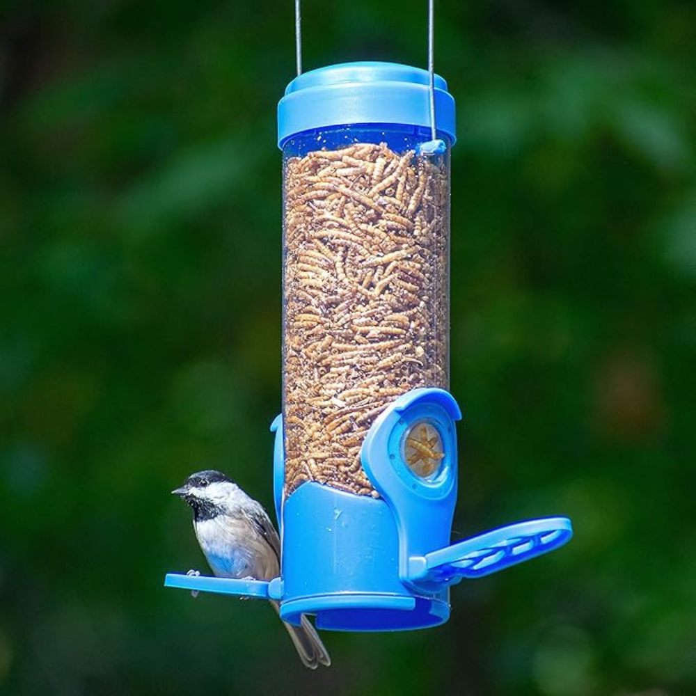 Mangeoire pour pavillon de jardin, pistache - Perky Pet main image 1