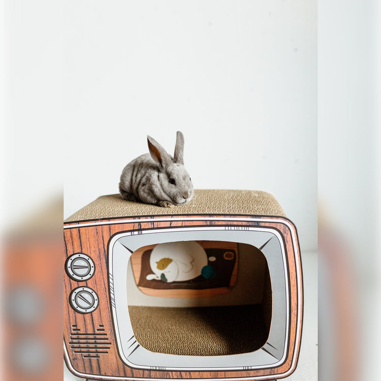 Les petits lapins d'amour, Téléviseur