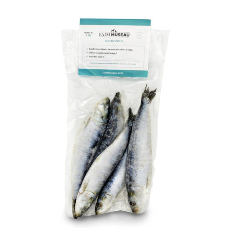FAIM MUSEAU sardines sauvages