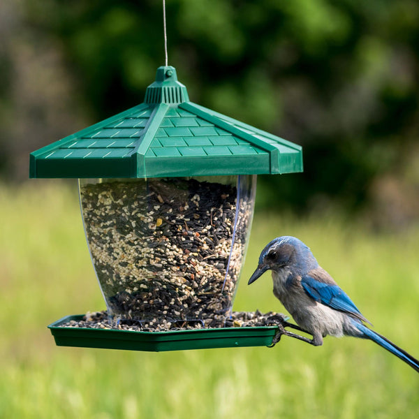 PERKY-PET Blue Metal Tube, mangeoire pour oiseaux d'extérieur