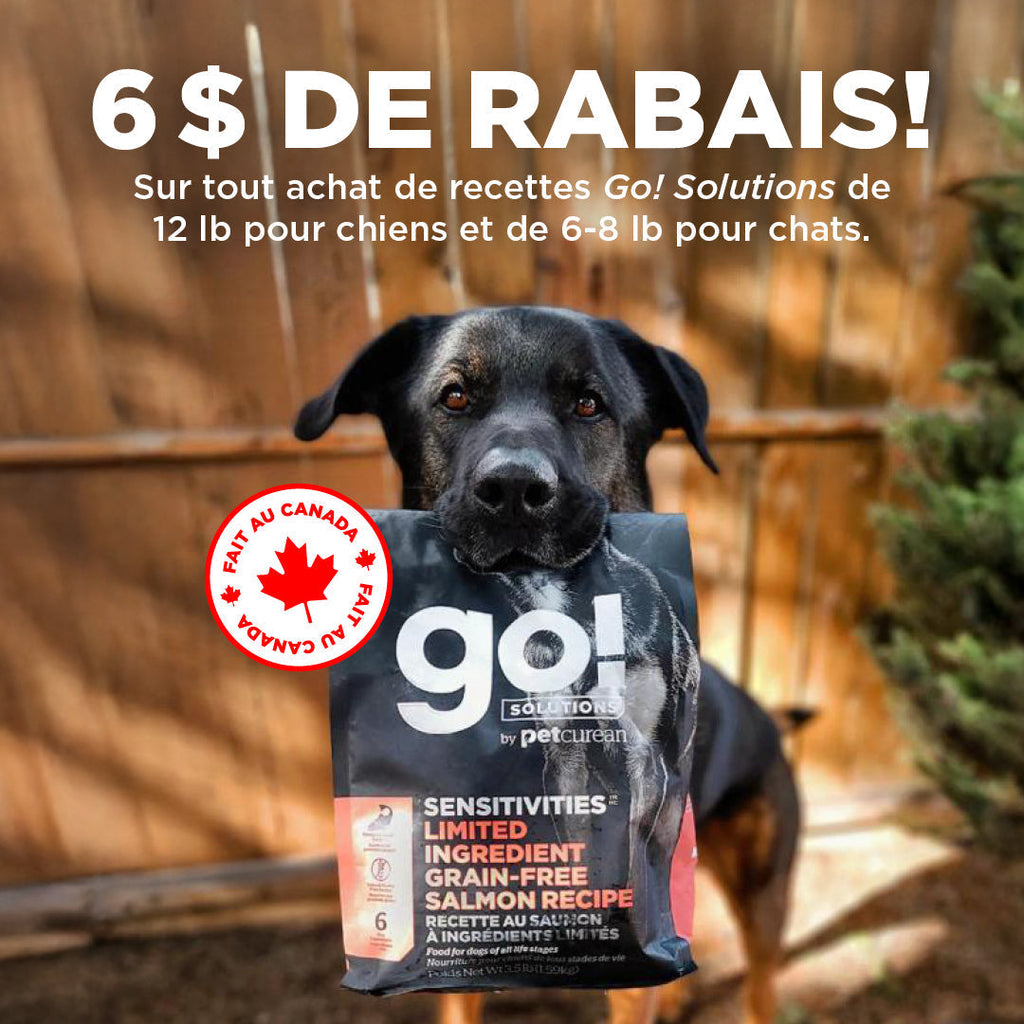 𝐌𝐀𝐈𝐍𝐓𝐄𝐍𝐀𝐍𝐓 𝐃𝐈𝐒𝐏𝐎𝐍𝐈𝐁𝐋𝐄 𝐈𝐂𝐈 !