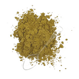 LIVSTRONG, Citrouille + Boost, Supplément pour la santé digestive, Pour chien et chat, 120g