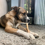 HAPPY CHEW, Bully stick, Jumbo, 12 pouces, Pour chien