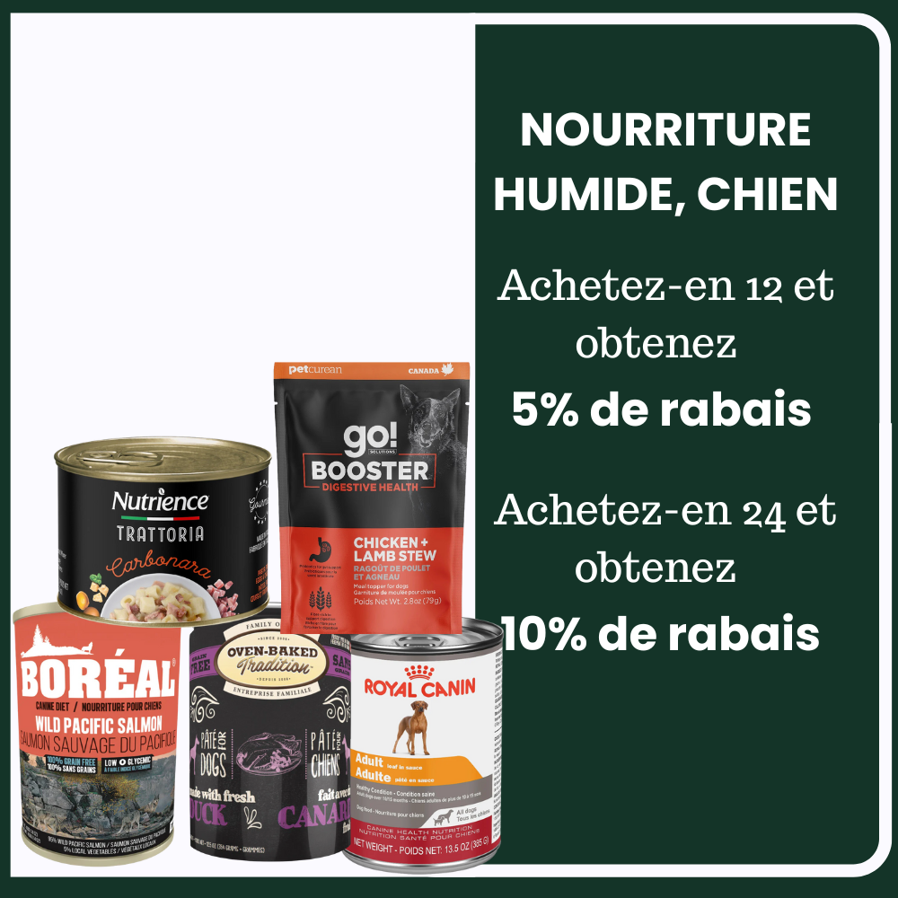 Économisez sur la nourriture humide pour chien