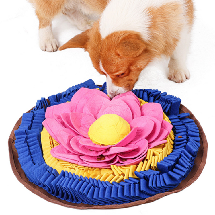 PAWZNDOGZ, Divine Lotus, Tapis de fouille, Pour chien