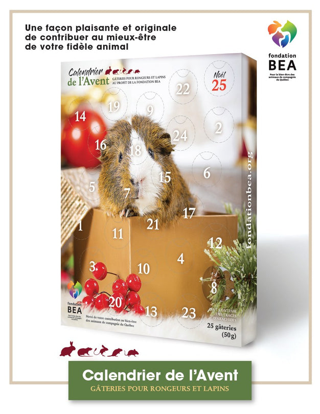 FONDATION BEA, Calendrier de l'Avent pour rongeurs