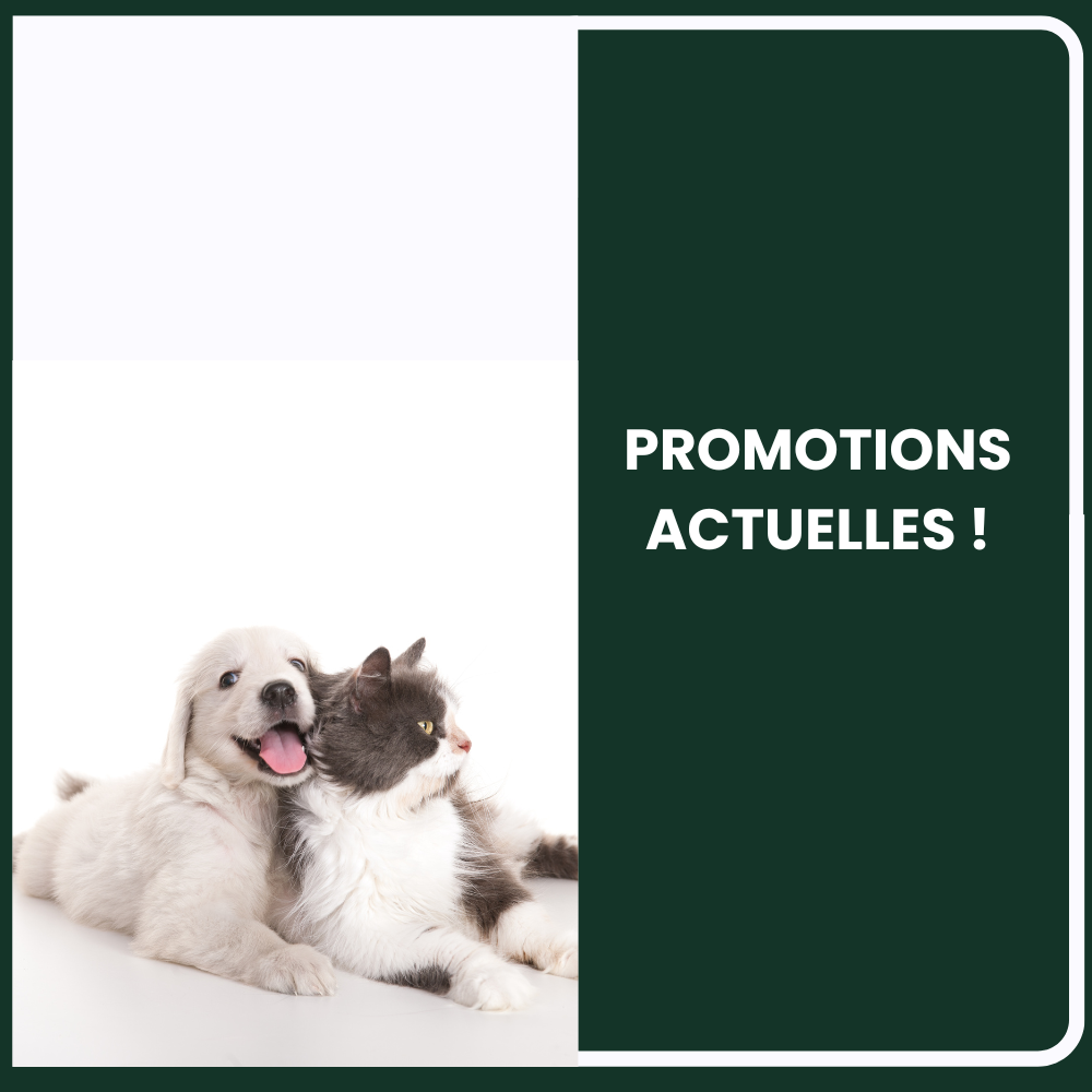 Économisez sur nos produits en rabais et liquidation