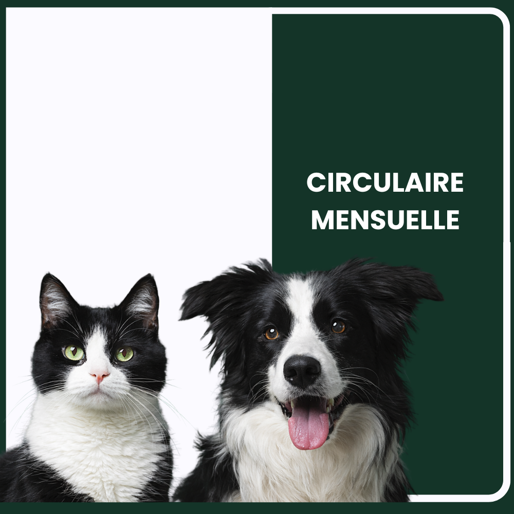 Économisez avec notre circulaire