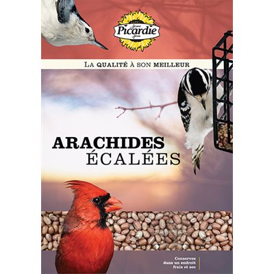 PICARDIE, Arachides sans écales 2kg