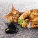 KONG, Flingaroo Corny pour chat