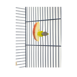 SAVIC, Pincer snack holder, Pince à collation universelle, Pour cage, Pour d'oiseau domestique