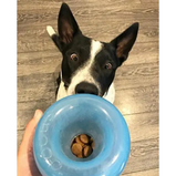 OUTWARD, Orbee-Tuff Snoop, Jouet interactif, Distributeur de friandises, Pour chien
