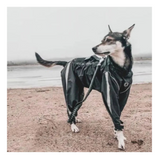 FOUFOUBRANDS, Bodyguard, Pantalon de protection, Pour chien