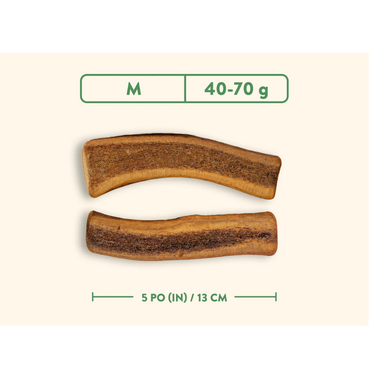 DENTLER, JAWGLER, Bois de cervidés, Coupé, Jambon fumé à l'érable, Pour chien