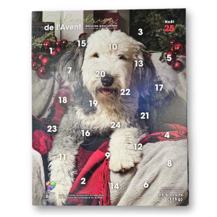 FONDATION BEA, Calendrier de l'Avent, Gâteries, Pour chien