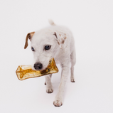 MIGHTY MARROW, Bâtonnet dentaire au collagène, Porc et persil, Pour chien