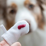 ANIMORA, Doigtier en microfibre, Pour chien et chat, Paquet de deux