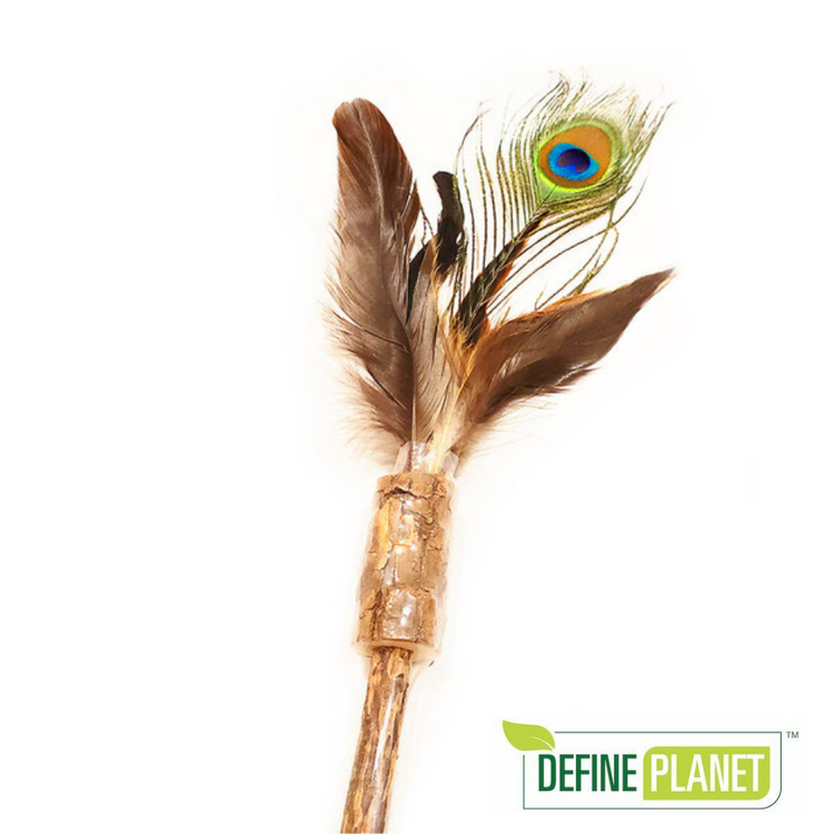 DEFINE PLANET, Eco Kitty, Agace-chat, Plume de paon sur baguette de matatabi, Pour chat