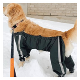 FOUFOUBRANDS, Bodyguard, Pantalon de protection, Pour chien