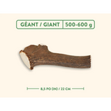 Creationsanstitre_5716a3a3-7324-4d02-be68-32a419ff1683