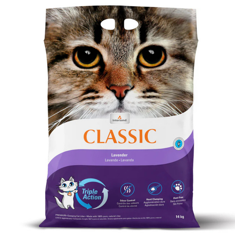 INTERSAND, CLASSIC, Litière agglomérante, Lavande, Pour chat, 14kg