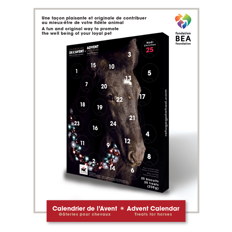 FONDATION BEA, Calendrier de l'Avent, Gâteries, Pour chevaux