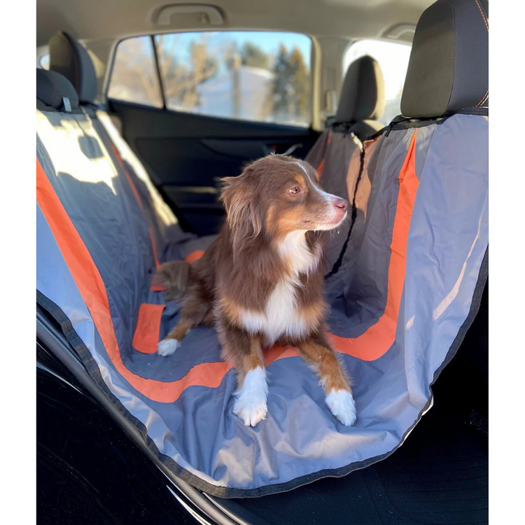 BUD'Z, Housse de protection pour sièges d'auto, Pour chien