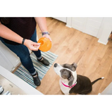 OUTWARD, Orbee-Tuff Snoop, Jouet interactif, Distributeur de friandises, Pour chien