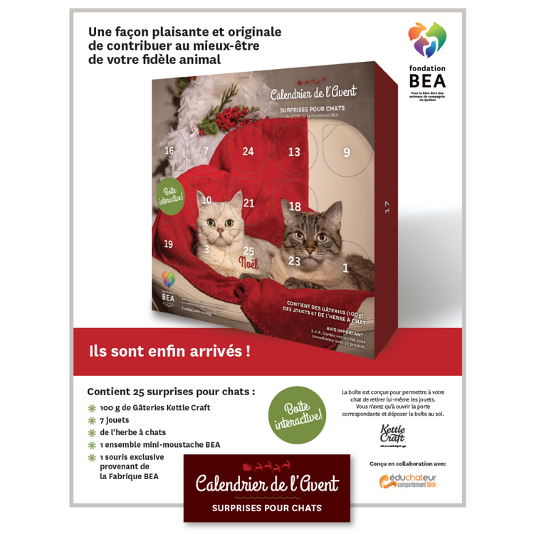 FONDATION BEA, Calendrier de l'Avent, Jouets et gâteries,  Pour chat