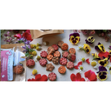 COMPLÈTEMENT DINGUE, Bouchées de foin, Confettis de fleurs, Fruits tropicaux, Pour cochons d'inde et lapins