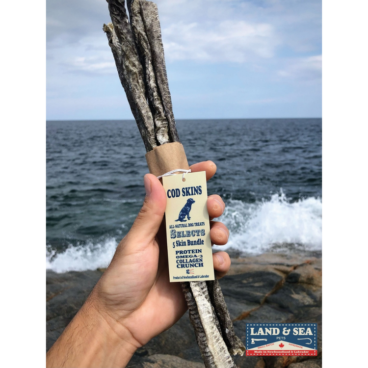 LAND & SEA, Gâterie, Peau de morue séchée, Pour chien, Paquet de 5