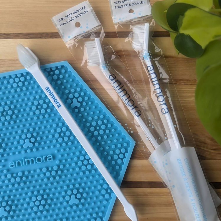 ANIMORA, Brosse à dents à double tête, Pour chien et chat, Vendu à l'unité