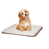 BERGAMO, Plateau pour tapis d'entrainement, Petit, Pour chien