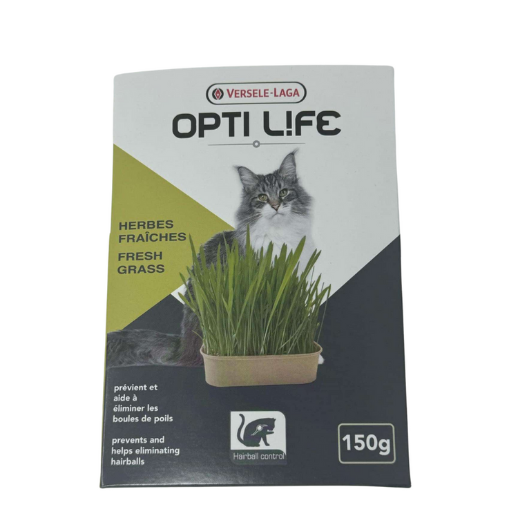 OPTILIFE, Herbe fraîche pour chat