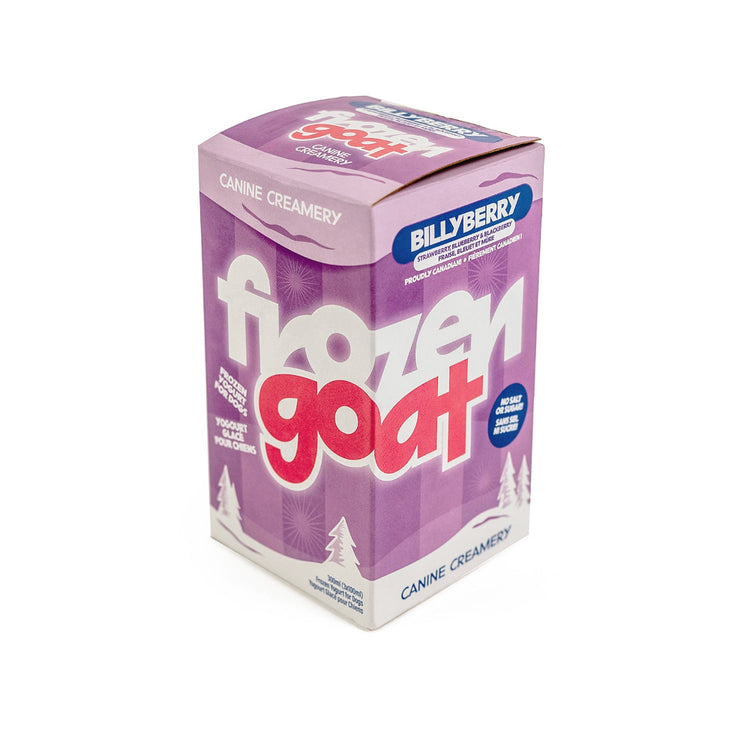 FROZEN GOAT, Billyberry, Yogourt glacé au lait de chèvre, Saveur de baies, Pour chien, 300ml