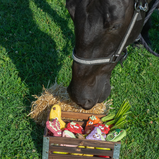 BOSCO AND ROXY'S, Fraise Cowboy, Gâterie, pour chien et pour chevaux