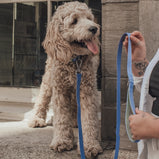 TELLA & STELLA, Collier pour chien Bleu Hydrangé