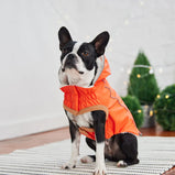 GF PET, Manteau imperméable isolé, Pour chien