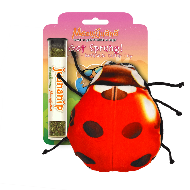 MEOWIJUANA -Jouet pour chat, Coccinelle rechargeable