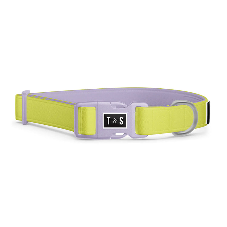 TELLA & STELLA, Collier pour chien Lime