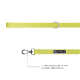 TELLA & STELLA, Laisse pour chien Lime