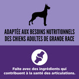 ORIJEN, Original, nourriture pour chien adulte de grande race