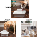PETSAFE, Drinkwell, Filtres de rechange, Pour fontaine Drinkwell en céramique, paquet de 4