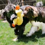 KONG, Comfort Canard Jumbo, Peluche pour chien