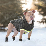 GF PET, Parka recyclé, Pour chien