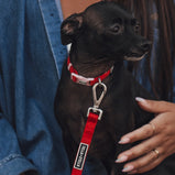 TELLA & STELLA, Collier pour chien Rouge