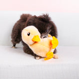 KONG, Toughz Canard en peluche pour chien