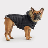 GF PET, Parka urbaine, Pour chien