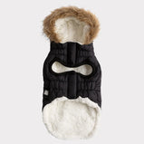 GF PET, Parka urbaine, Pour chien