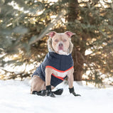 GF PET, Parka sailor, Pour chien